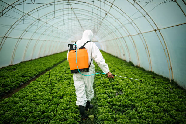 Best Pest Prevention Services  in , NE