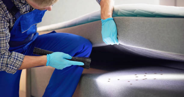 Best Pest Removal Services  in , NE