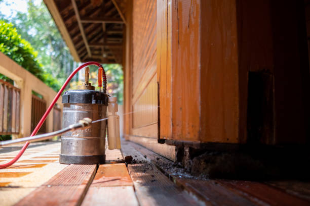 Best Affordable Pest Control Services  in , NE
