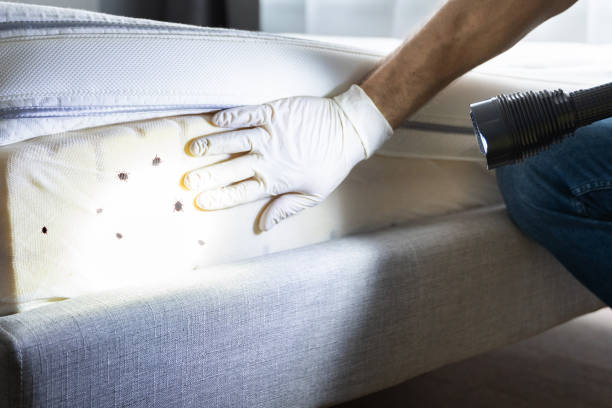 Best Bed Bug Extermination  in , NE