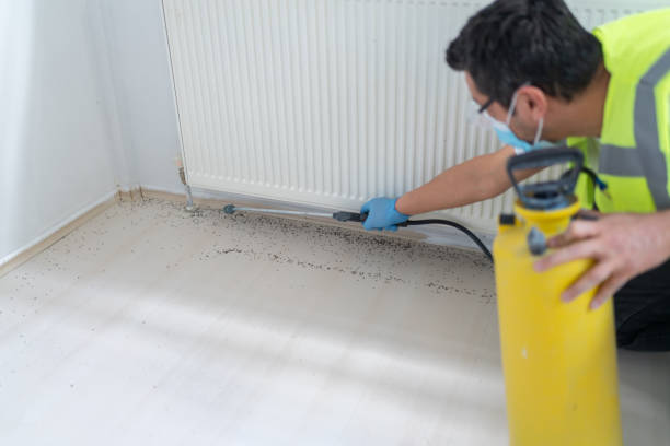 Best Mosquito Control Services  in , NE